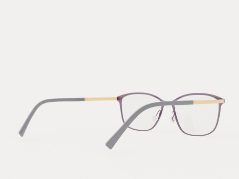 Fleye - Mai 3010 Glasses 3D Model