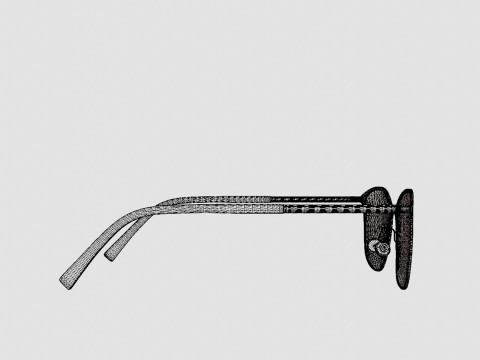 Fleye - Mai 3010 Glasses 3D Model