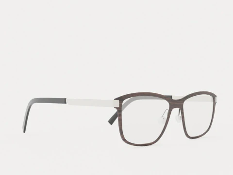 Fleye - &Oacute;culos Melvin 4631 Modelo 3D