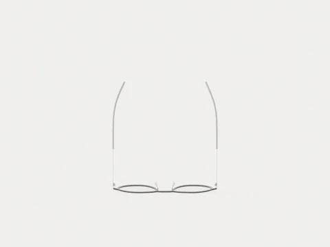 Fleye - Sima 4631 Glasses 3D Model