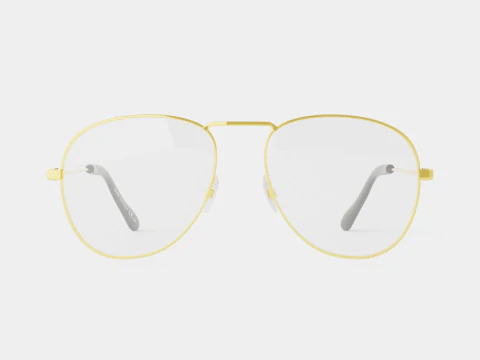 Givenchy - GV 0117 J5G Glasses 3D Model