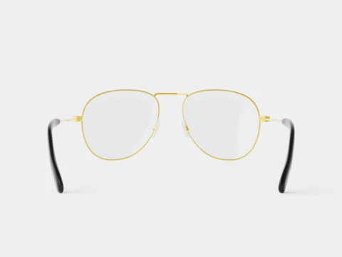 Givenchy - GV 0117 J5G Glasses 3D Model