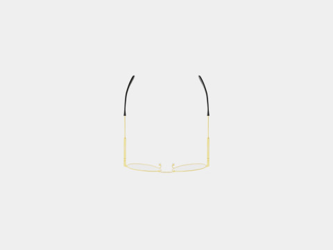 Givenchy - GV 0117 J5G Glasses 3D Модель
