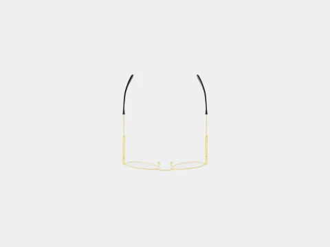 Givenchy - GV 0117 J5G Glasses 3D Model