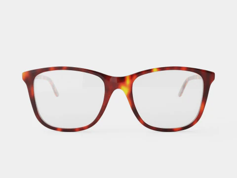Gucci - GG 0018O 006 Glasses 3D Model