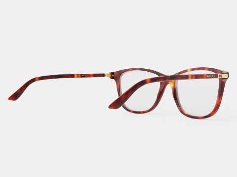 Gucci - GG 0018O 006 Glasses 3D Model