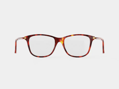 Gucci - GG 0018O 006 Glasses 3D Model