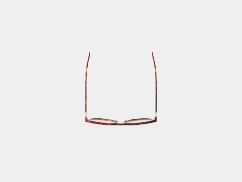 Gucci - GG 0018O 006 Glasses 3D Model