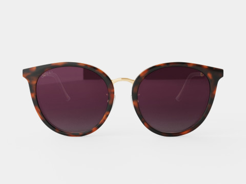 Gucci - GG 0204SK 002 Sunglasses Modelo 3D