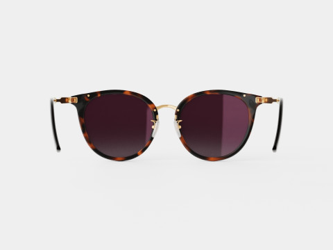 Gucci - GG 0204SK 002 Sunglasses Modelo 3D