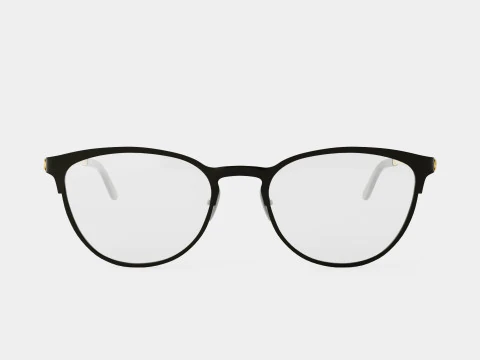 Gucci - GG0134O 014 Glasses 3D Model