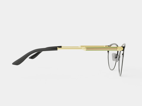Gucci - GG0134O 014 Glasses 3D Model