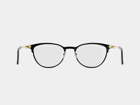 Gucci - GG0134O 014 Glasses 3D Model