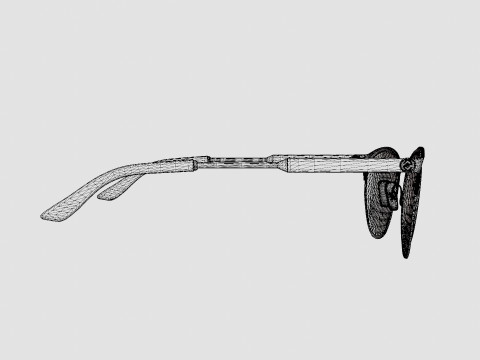 Gucci - GG0134O 014 Glasses 3D Model