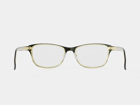 Gucci - GG0304O 001 Glasses 3D Model