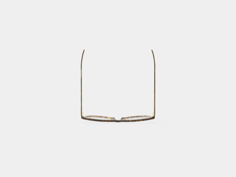 Gucci - GG0310O 002 Glasses 3D Model