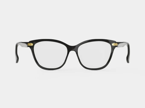 Gucci - GG0421O 001 Glasses 3D Model