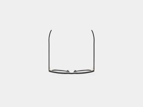 Gucci - GG0421O 001 Glasses 3D Model