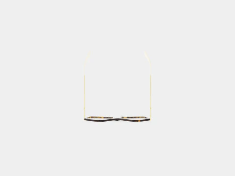 Gucci - GG0513O 002 Glasses 3D Model