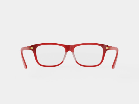 Gucci - GG0755OA 003 Glasses Modello 3D