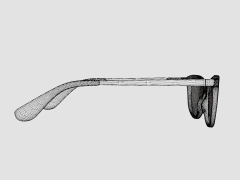 Guess - GU2681 074 Glasses 3D Model