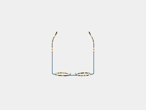 JF Rey - JF2819 9045 Glasses 3D Model