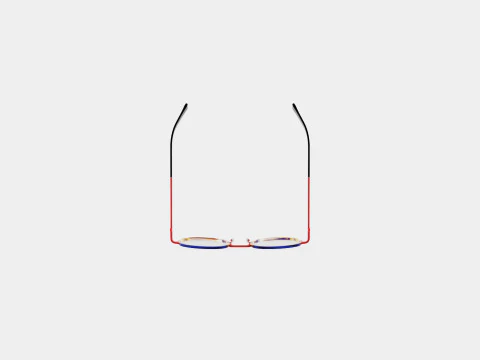 JF Rey - JF2846 0530 Glasses 3D Model