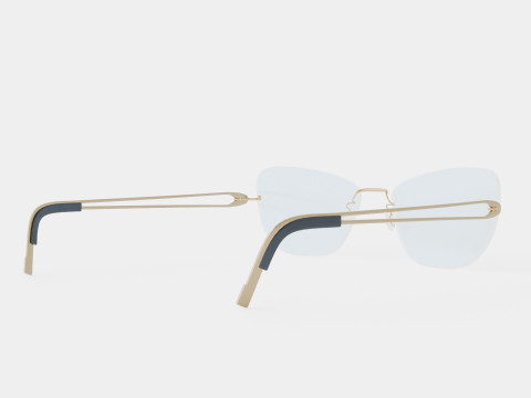 Lindberg - Spirit SPI2209D PGT temple 602 Glasses 3D Model