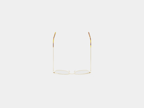 Longchamp - LO2111 303 Glasses 3D-Modell