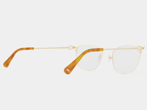 Longchamp - LO2111 604 Glasses 3D Model