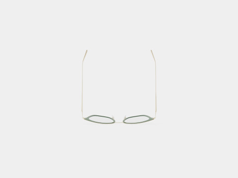 Longchamp - LO2635 305 Glasses 3D 模型