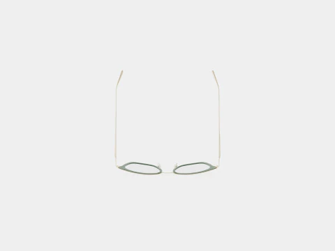 Longchamp - LO2635 305 Glasses 3D Model