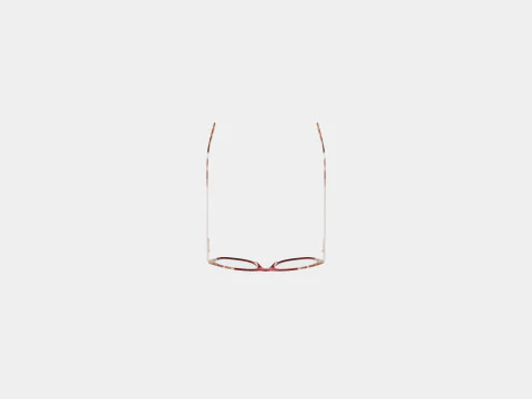 Longchamp - LO2639 611 Glasses 3D Model