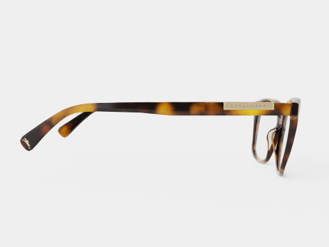 Longchamp - LO2644 214 Glasses Model 3D