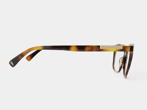 Longchamp - LO2644 214 Glasses 3D Model