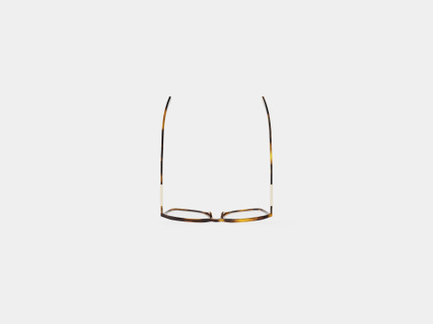 Longchamp - LO2644 214 Glasses Model 3D