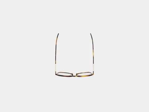 Longchamp - LO2644 214 Glasses 3D Model