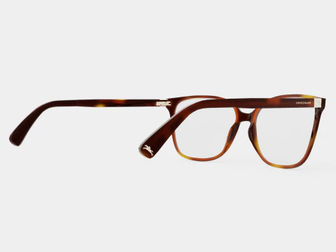 Longchamp - LO2656 214 Glasses 3D Model