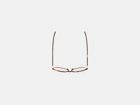 Longchamp - LO2656 214 Glasses 3D Model