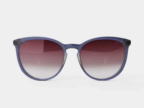 Longchamp - LO606S 429 Sunglasses 3D Model