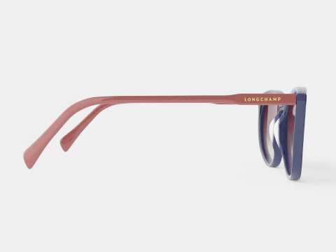 Longchamp - LO606S 429 Sunglasses 3D Model