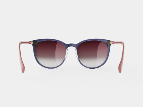Longchamp - LO606S 429 Sunglasses 3D 模型