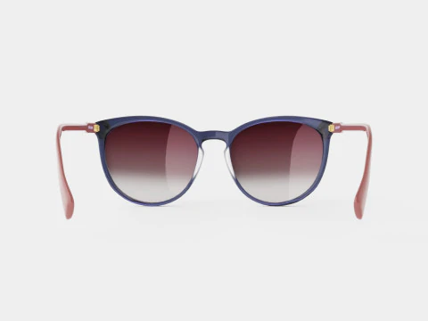 Longchamp - LO606S 429 Sunglasses 3D Model