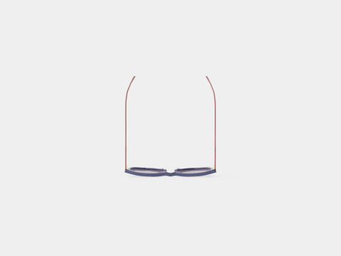 Longchamp - LO606S 429 Sunglasses 3D 模型