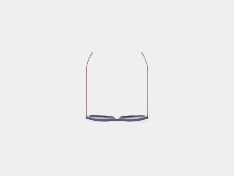 Longchamp - LO606S 429 Sunglasses 3D Model