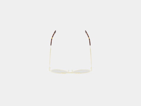 McQ - MQ0291OA 002 Glasses 3D Model