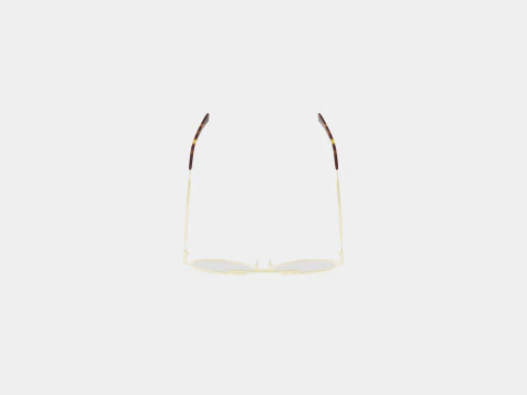 McQ - MQ0291OA 002 Glasses 3D Model