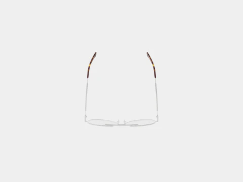 McQ - MQ0291OA 003 Glasses 3D Model