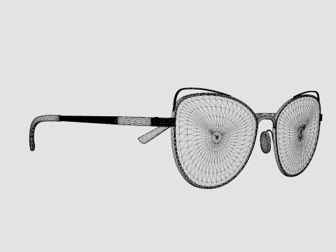 Michael Kors - MK1035 12128Z Sunglasses 3D Modell