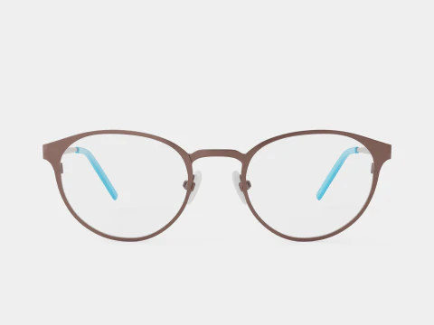 Modo - 4206 APEW Glasses 3D Model